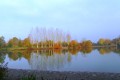 p1080166.jpg ret